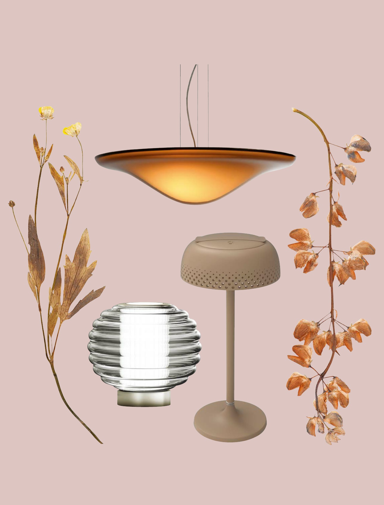 Luminous Specimens - 뉴스 썸네일 이미지